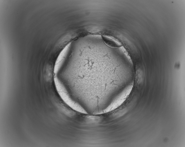 X0000097640234200803142054