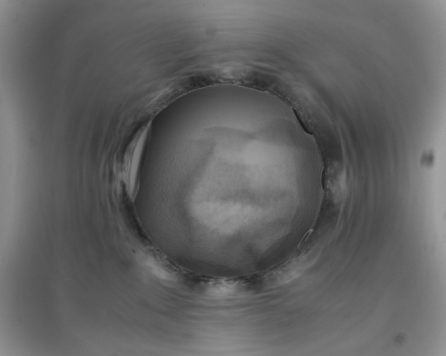 X0000097640235200803142054