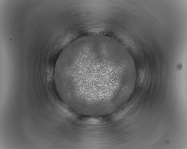 X0000097640236200803142054