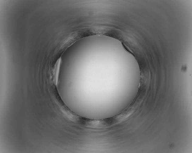 X0000097640237200803142054