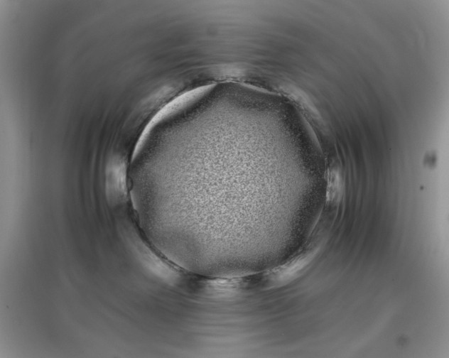 X0000097640238200803142054