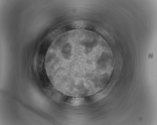 X0000097640240200803142054