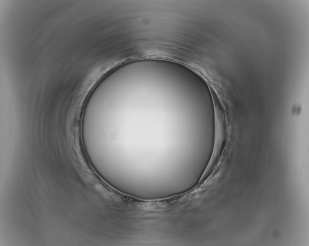 X0000097640241200803142053