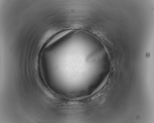 X0000097640242200803142053