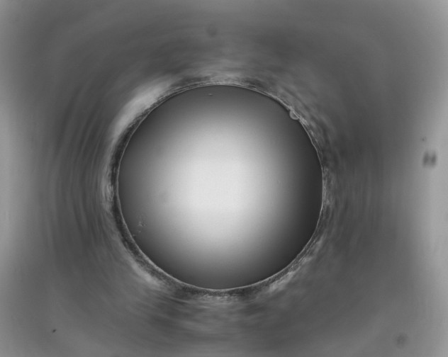 X0000097640245200803142053