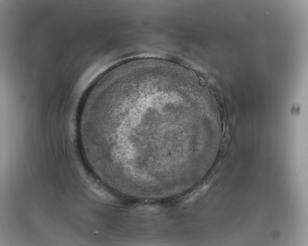 X0000097640247200803142053