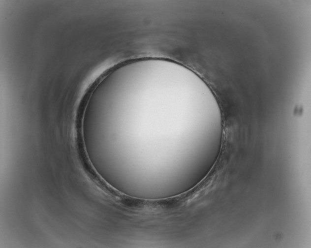 X0000097640248200803142053