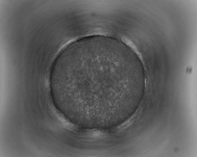 X0000097640249200803142053