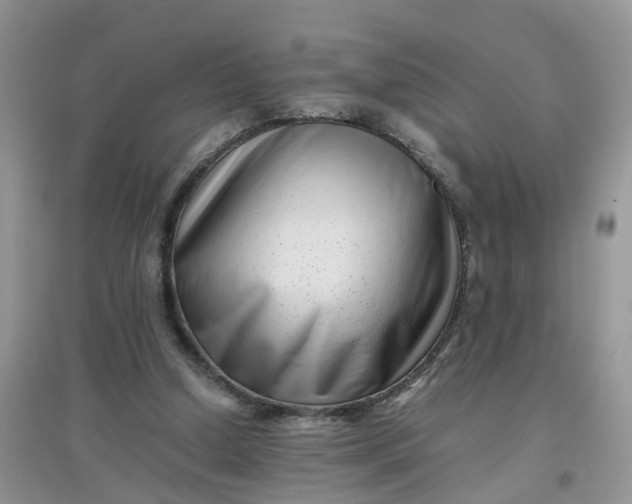 X0000097640250200803142053