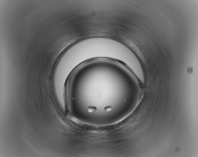 X0000097640251200803142053