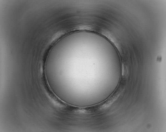 X0000097640253200803142053