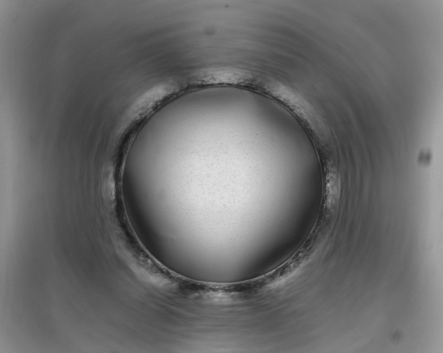 X0000097640254200803142053