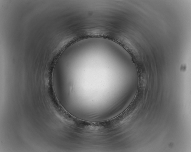 X0000097640255200803142053