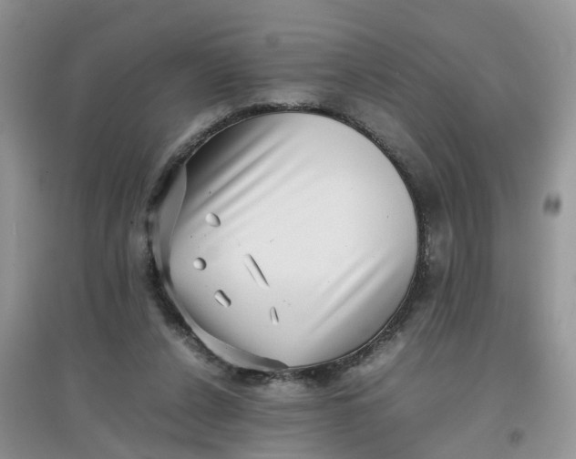 X0000097640256200803142053