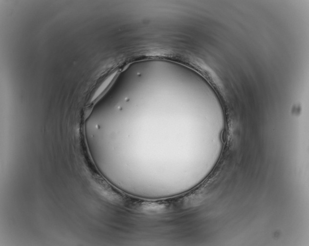 X0000097640257200803142053