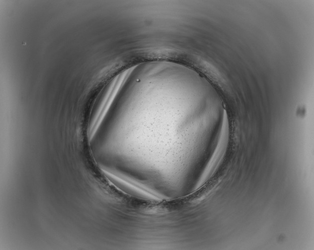 X0000097640258200803142053