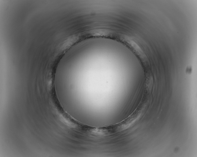 X0000097640261200803142053