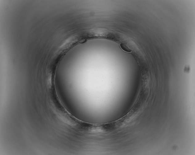 X0000097640262200803142053