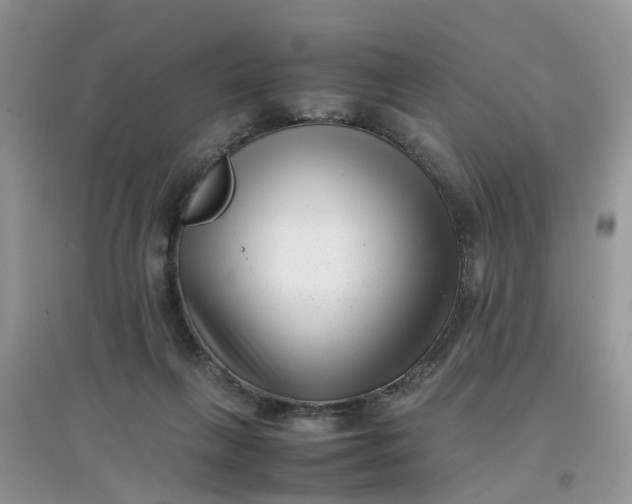 X0000097640263200803142053