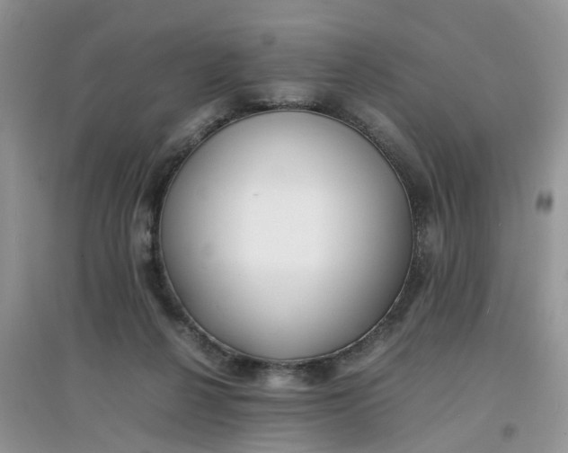 X0000097640264200803142053