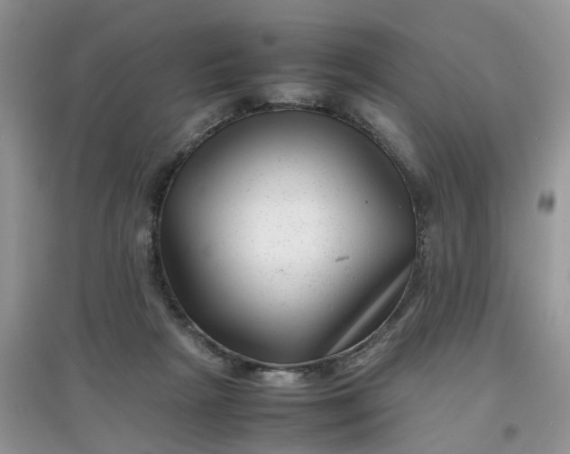 X0000097640265200803142053