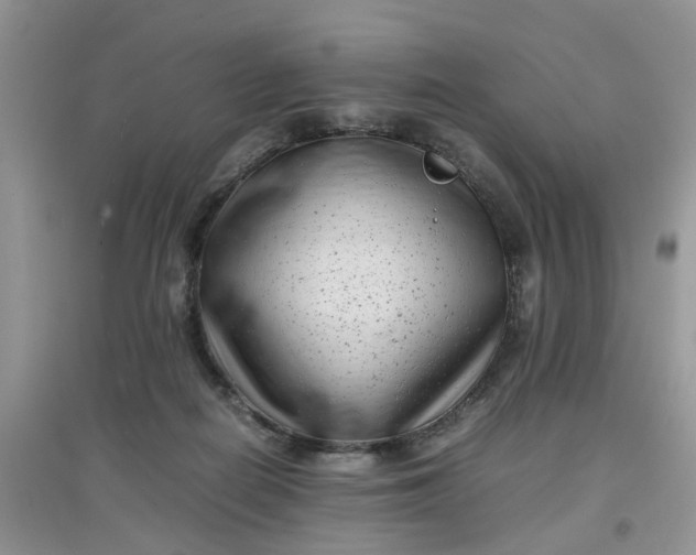 X0000097640266200803142053