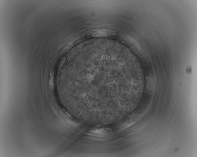 X0000097640267200803142054