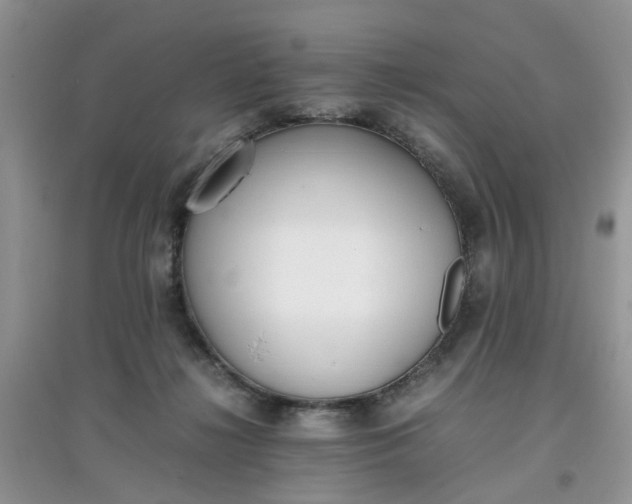 X0000097640268200803142054