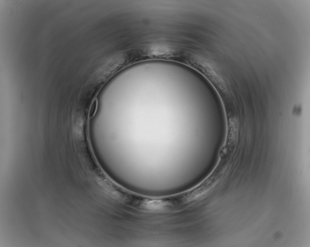 X0000097640269200803142054