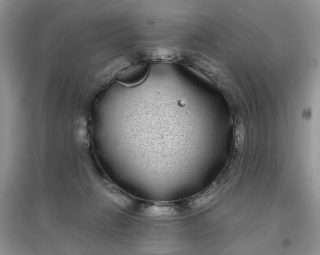 X0000097640270200803142054