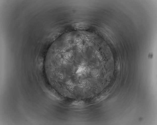 X0000097640271200803142054