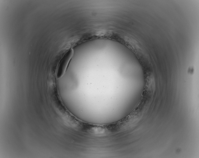 X0000097640272200803142054