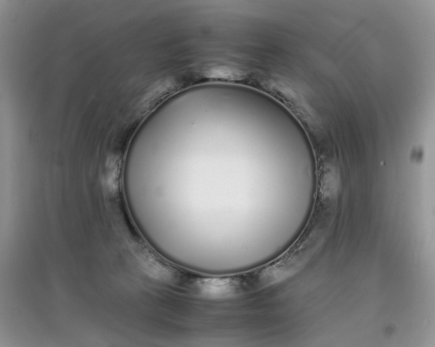 X0000097640273200803142054