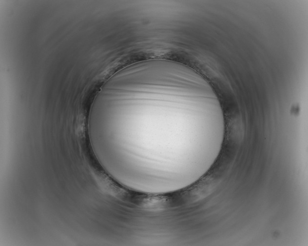 X0000097640274200803142054