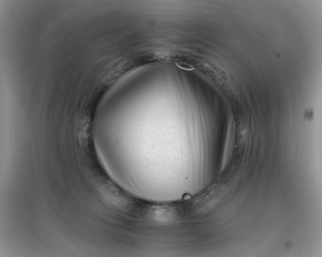 X0000097640275200803142054