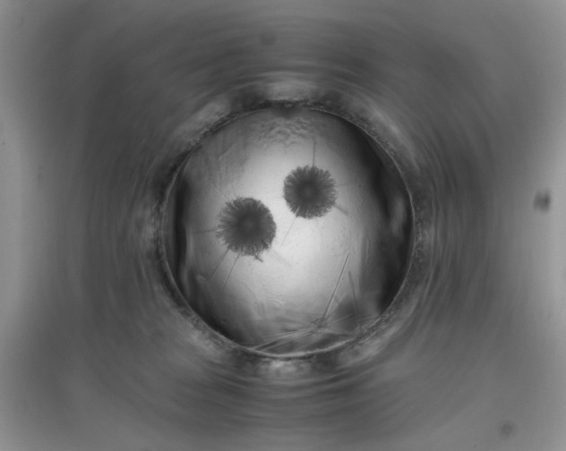 X0000097640277200803142054