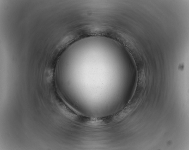 X0000097640278200803142054