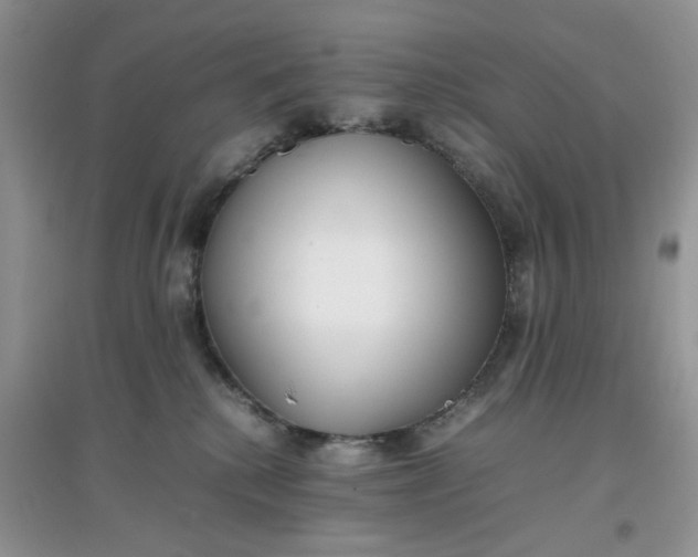 X0000097640280200803142054