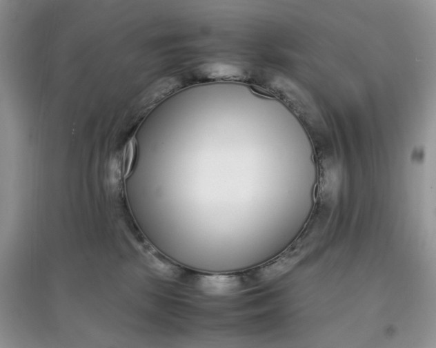 X0000097640281200803142054