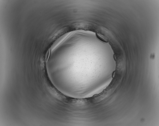 X0000097640282200803142054