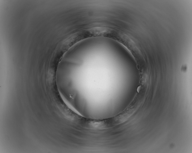 X0000097640283200803142054