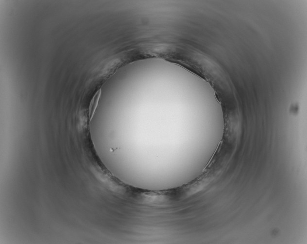 X0000097640284200803142054