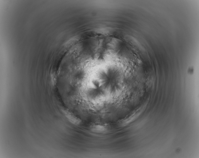 X0000097640285200803142054