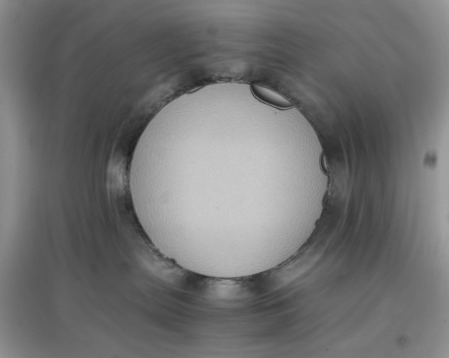 X0000097640287200803142054