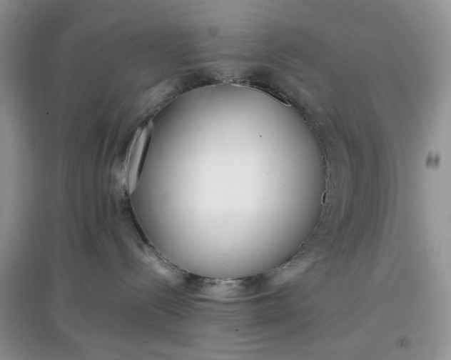 X0000097640288200803142054