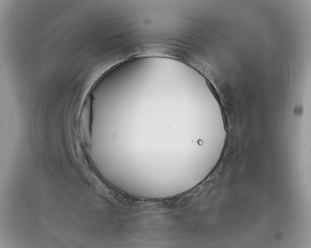 X0000097640289200803142053