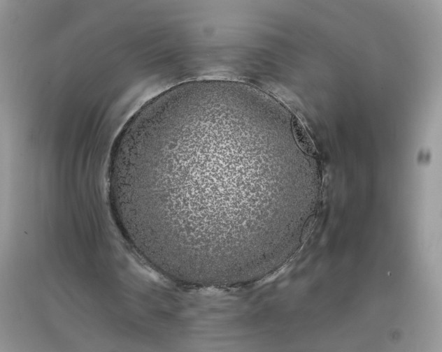 X0000097640290200803142053