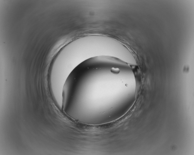 X0000097640293200803142053