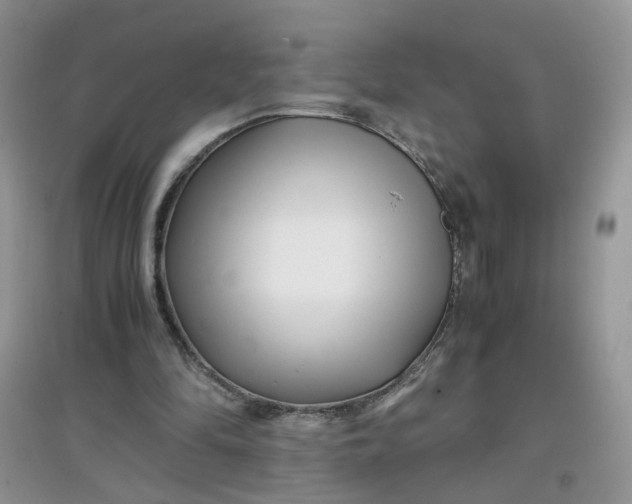 X0000097640294200803142053