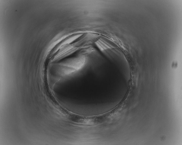 X0000097640295200803142053